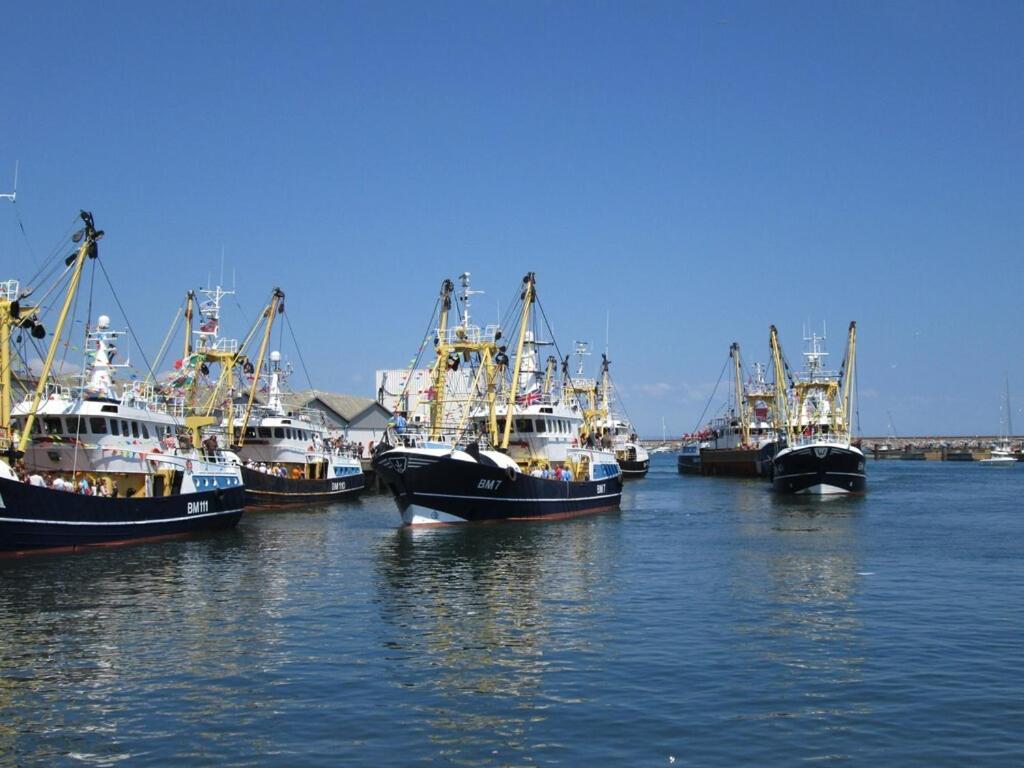 A Modern And Cosy Apartment Just Yards From Brixham'S Bustling Harbourside Luaran gambar